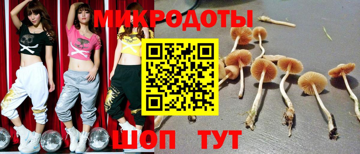 Галлюциногенные грибы GOLDEN TEACHER  Вход с VPN  Нижнеудинск 