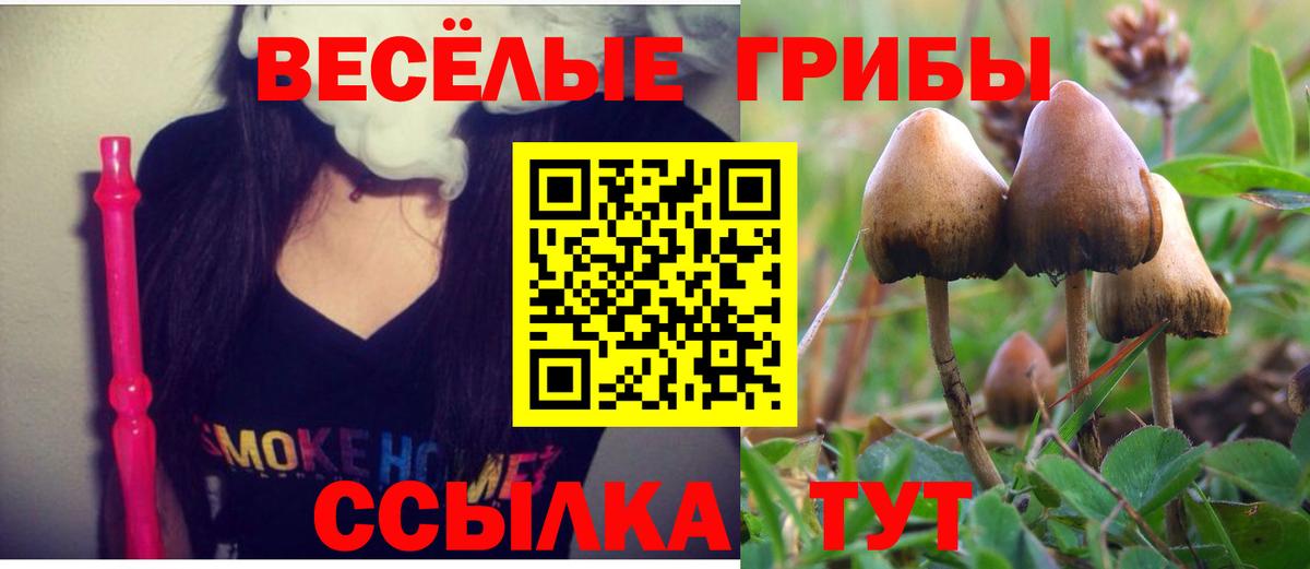 Галлюциногенные грибы Magic Shrooms Нижнеудинск